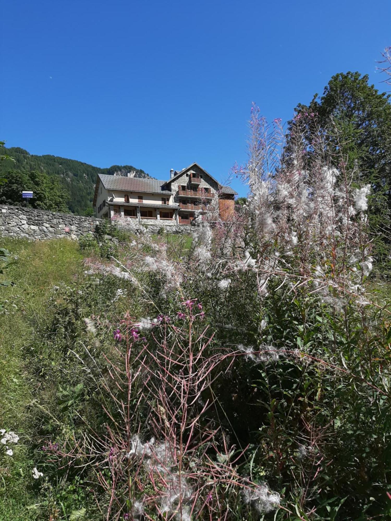 Hotel Chalet Du Bon Air Peisey-Nancroix Luaran gambar